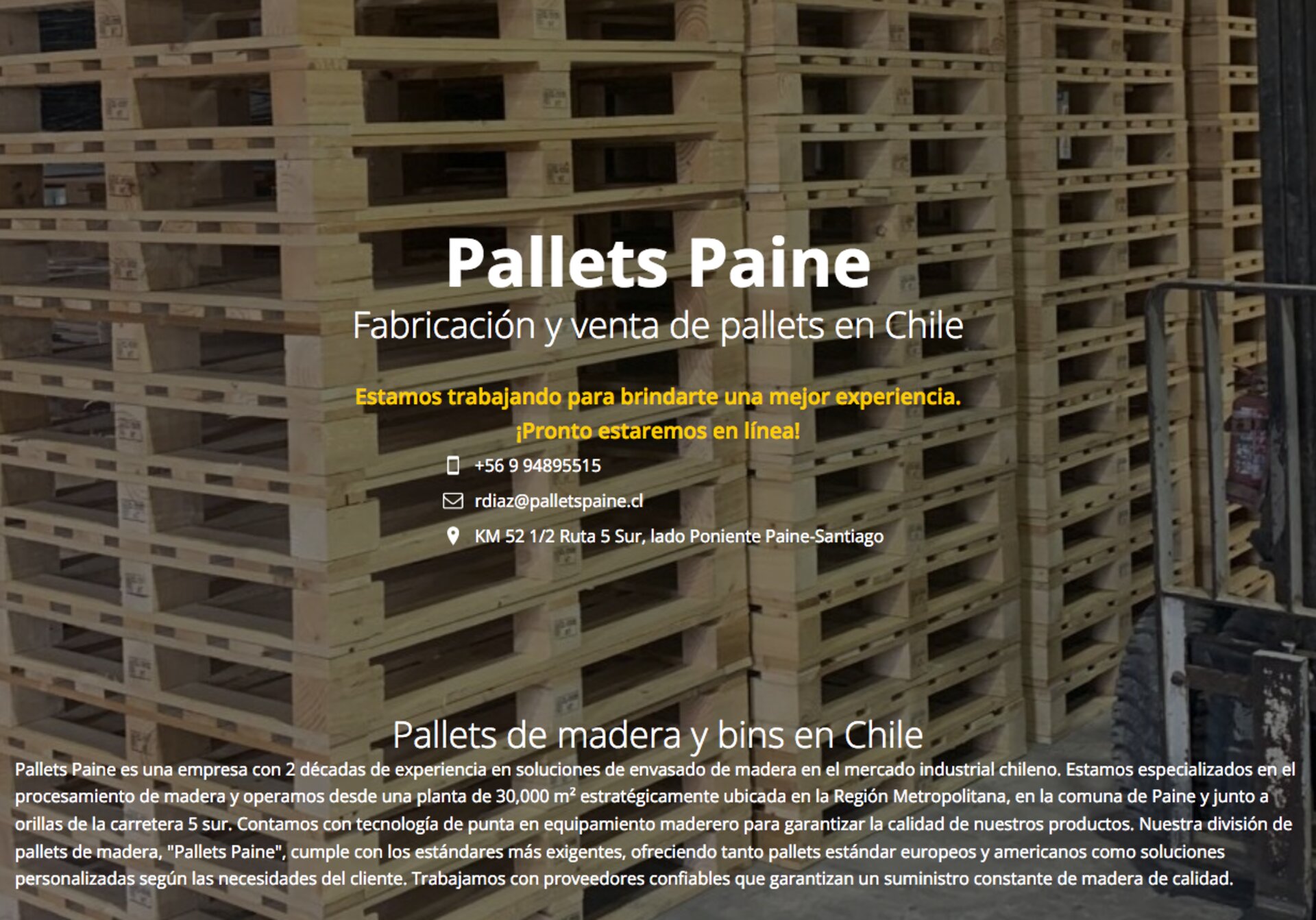 Pallets nuevos en chile